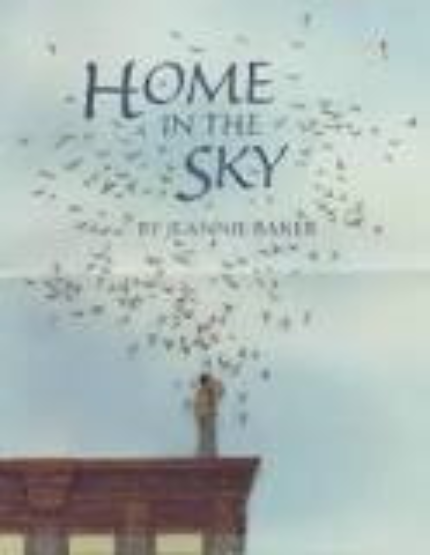 HOME IN THE SKY