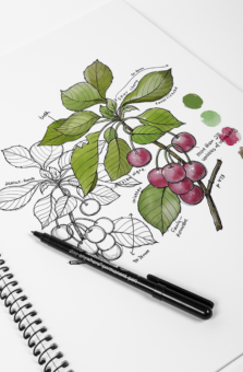 A5 MICADOR VISUAL ART DIARY 110GSM COLOURED