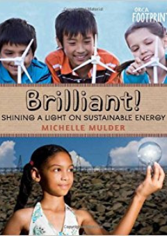 BRILLIANT!: SHINING A LIGHT ON SUSTAINABLE ENERGY Cover