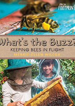 WHAT'S THE BUZZ?: KEEPING BEES IN FLIGHT Cover