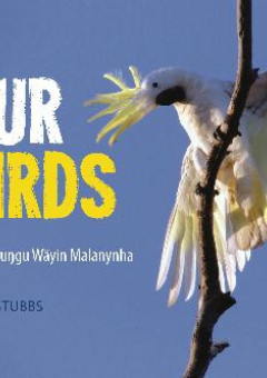 OUR BIRDS: NILIMURRUNGU WAYIN MALANYNHA Cover