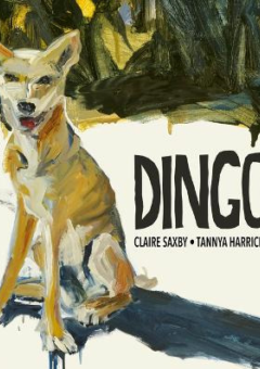 DINGO Cover