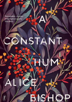 A CONSTANT HUM Cover