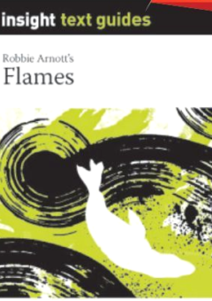 INSIGHT TEXT GUIDE: FLAMES Cover