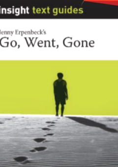 INSIGHT TEXT GUIDE: GO, WENT, GONE Cover