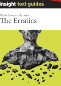 INSIGHT TEXT GUIDE: THE ERRATICS Cover
