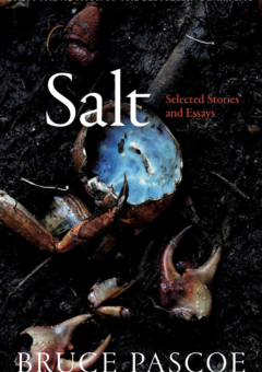 SALT: SELECTED STORIES AND ESSAYS Cover