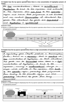 BIOLOGY QUESTION BOOK VOLUME 1: STUDY DESIGN QUESTIONS