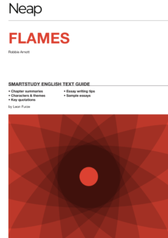 NEAP SMARTSTUDY: FLAMES Cover