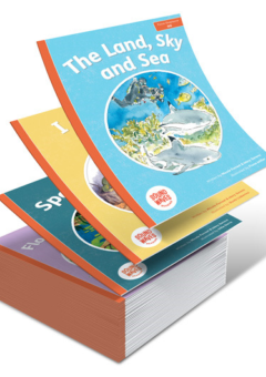 DECODABLE READERS FOUNDATION - EXTENDED SET (40 BOOKS) Cover