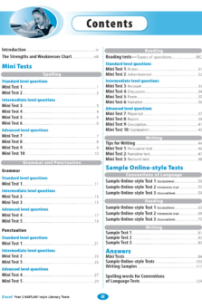 EXCEL NAPLAN STYLE LITERACY TESTS YEAR 2
