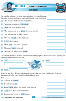 EXCEL NAPLAN STYLE LITERACY TESTS YEAR 2