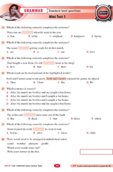EXCEL NAPLAN STYLE LITERACY TESTS YEAR 3