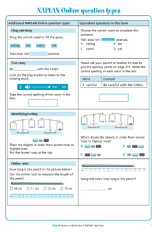 EXCEL REVISE IN A MONTH NAPLAN STYLE TESTS YEAR 2