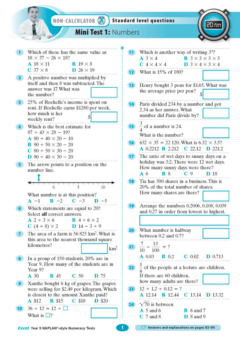 EXCEL NAPLAN STYLE NUMERACY TESTS YEAR 9