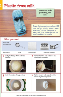 TARGETING STEM JOURNAL: YEAR 4