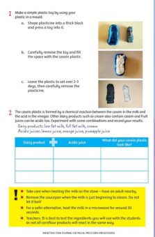 TARGETING STEM JOURNAL: YEAR 4