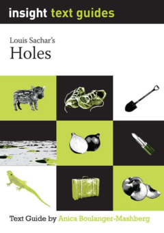 INSIGHT TEXT GUIDE: HOLES Cover