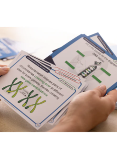 ATAR NOTES VCE BUSINESS MANAGEMENT UNITS 3&4 FLASHCARDS