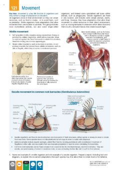 BIOZONE IB BIOLOGY: DIPLOMA PROGRAMME: STUDENT EDITION