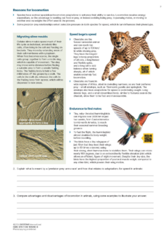 BIOZONE IB BIOLOGY: DIPLOMA PROGRAMME: STUDENT EDITION