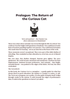 Lilydale Books | THE CURIOUS CAT AND THE QUEST FOR SCHOOL IMPROVEMENT