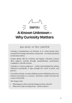 Lilydale Books | THE CURIOUS CAT AND THE QUEST FOR SCHOOL IMPROVEMENT