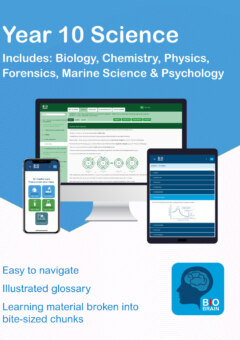 BIOBRAIN YEAR 10 SCIENCE DIGITAL (eBook only) Cover