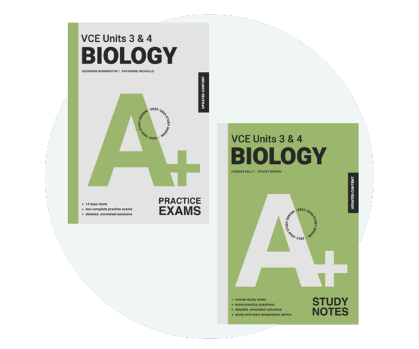 A Notes Exams